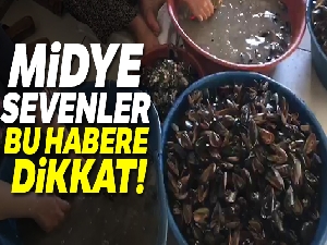 Bakteri yuvası midyeciye baskın, ekipler bile şaşırdı