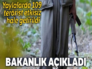 Kış üslenmesindeki terör örgütüne darbe