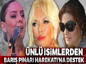 Ünlü isimlerden Barış Pınarı Harekatı'na destek