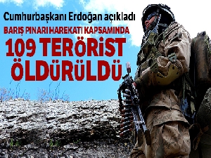 Cumhurbaşkanı Erdoğan: 'Barış Pınarı Harekatı kapsamında 109 terörist öldürüldü'