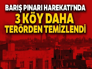 Barış Pınarı Harekatı'nda 3 köy daha terörden temizlendi
