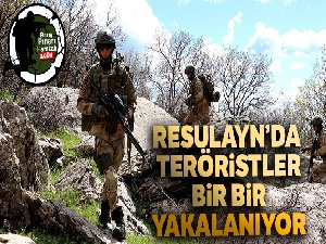 Resulayn'da teröristler bir bir yakalanıyor