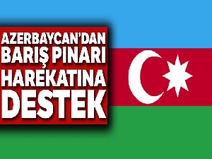 Azerbaycan Cumhurbaşkanı Yardımcısı Hasanov'dan Barış Pınarı Harekatı'na destek