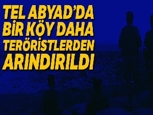 Tel Abyad'ın güneydoğusunda bir köy daha teröristlerden arındırıldı