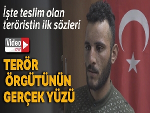 Teslim olan terörist: 'PKK domuzlarıyla savaşan gençlere sesleniyorum kendilerini Türk devletine teslim etsinler'
