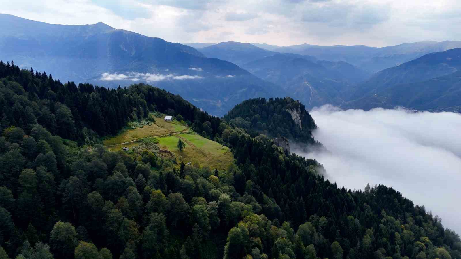 kurtun-de-vargit-cicekleri-ve-sis-denizi-esliginde-doga-yuruyusu-yaptilar