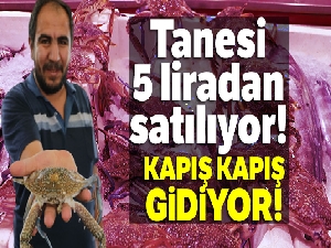 Tanesi 5 liradan satılıyor! Denizi olmayan kentte kapış kapış gidiyor