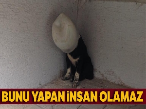 Bunu yapan insan olamaz!