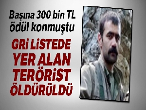 Gri listede 300 bin TL ödülle aranan terörist öldürüldü