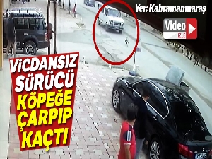 Köpeğe çarpıp kaçtı
