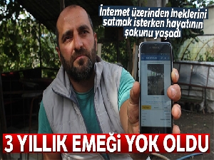İnternet üzerinden ineklerini satmak isterken dolandırıldılar