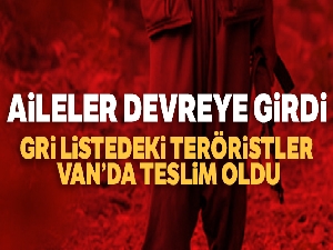Aileler devreye girdi, Gri listedeki teröristler Van'da teslim oldu