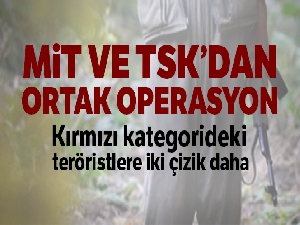 Kırmızı kategoride aranan 2 terörist etkisiz hale getirildi