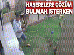 Haşerelere çözüm bulmak isterken bahçeyi havaya uçurdu