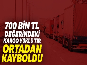 700 bin TL değerinde kargo ürünleri yüklü tır ortadan kayboldu
