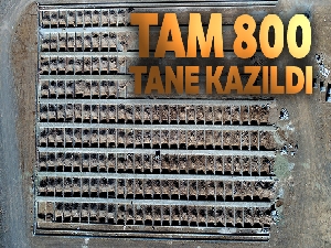 Erzurum'da kış için 800 mezar kazıldı