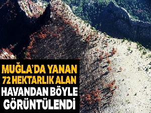 Yanan 72 hektar alan havadan görüntülendi
