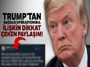 Trump, Bağdadi operasyonunda yaralanan köpeğin fotoğrafını paylaştı