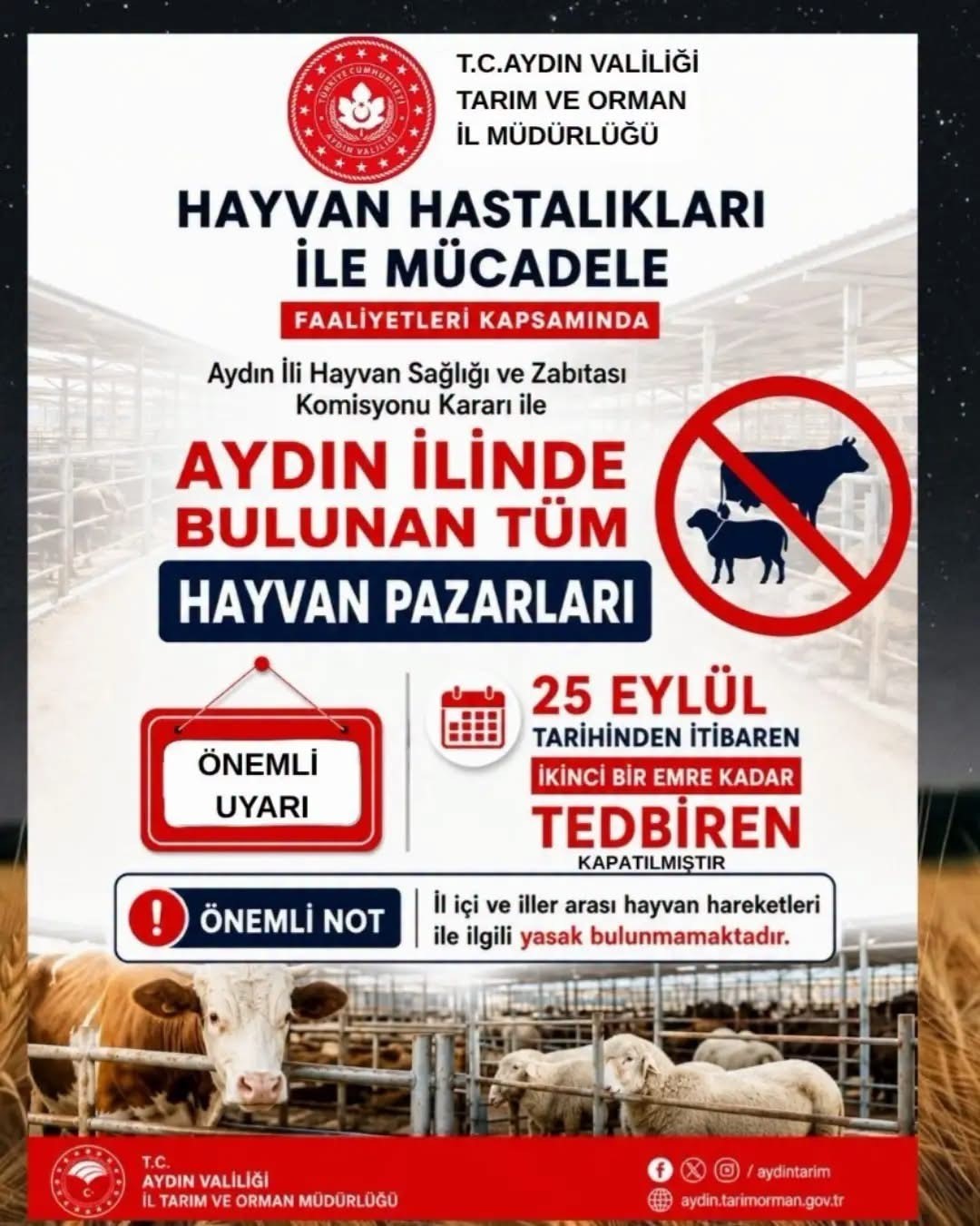 aydin-da-tum-hayvan-pazarlari-tedbiren-kapatildi