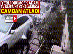 İstanbul'da 'örümcek' hırsız ev sahibine yakalanınca camdan atladı