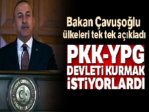 Bakan Çavuşoğlu: 'Burada bir terör devleti kurmak istiyorlardı'
