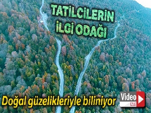Doğal güzellikleri ile bilinen Maşukiye, sonbaharda tatilcilerin ilgi odağı oldu