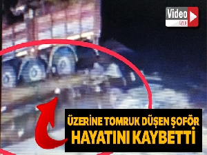Üzerine kamyondan tomruk düşen şoför hayatını kaybetti