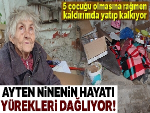 Kaldırımda geçen dram dolu bir hayat