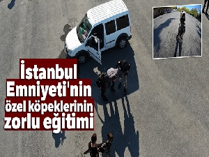 İstanbul Emniyeti'nin özel köpeklerinin zorlu eğitimi görüntülendi