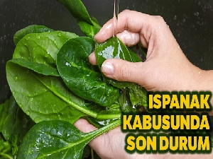 İl Sağlık Müdürlüğünden ıspanak zehirlenmelerine ilişkin açıklama