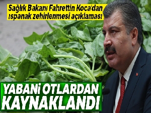Sağlık Bakanı Fahrettin Koca'dan ıspanak zehirlenmesi açıklaması