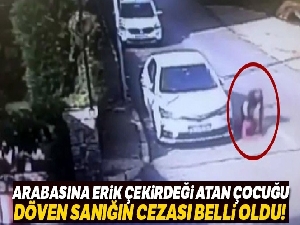Arabasına erik çekirdeği atan çocuğu döven sanık 3 yıl 9 ay hapse çarptırıldı