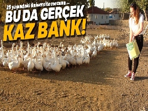 Bu da gerçek Kaz Bank