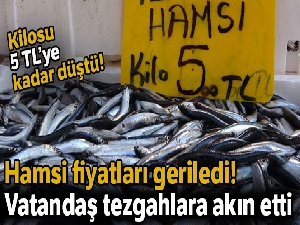 Hamsi 5 liraya düştü, vatandaşlar balıkçılara akın etti