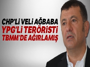 Resülayn'da etkisiz hale getirilen teröristin Ağbaba tarafından TBMM'de ağırlandığı ortaya çıktı