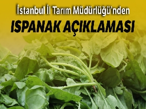 İstanbul İl Tarım ve Orman Müdürlüğünden ıspanak zehirlenmelerine ilişkin açıklama