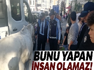 Esenyurt'ta bir ayağı sakat ve gözü kör ata işkence