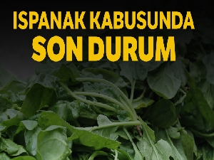 İl Tarım ve Orman Müdürü Karaca: 'Vatandaşlar gönül rahatlığıyla ıspanak yiyebilir'
