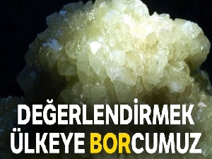 ‘Bor'u değerlendirmek ülkeye borcumuz