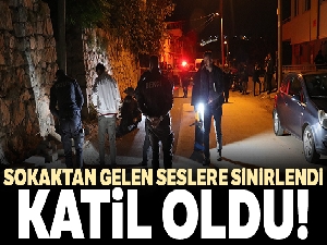 Sokaktan gelen seslere sinirlenince katil oldu