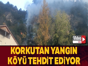 Bartın'daki orman yangını kontrol altına alındı