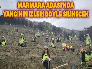 Marmara Adası'nda yangının izleri dikilen fidanlarla silinecek