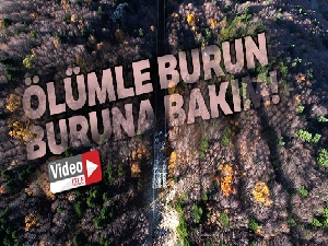 Uludağ'da ölümle burun buruna bakım