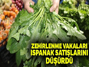 Zehirlenme vakaları ıspanak satışlarını düşürdü