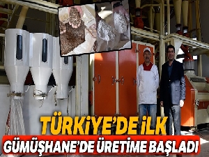 Türkiye'nin ilk karabuğday un ve bulgur tesisi Gümüşhane'de üretime başladı