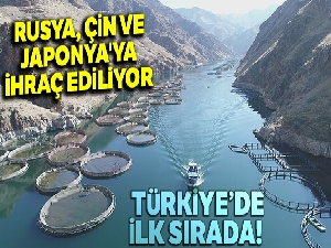 Elazığ'da üretiliyor! Rusya, Çin, Japonya, Almanya, Hollanda ve İngiltere'ye ihraç ediliyor