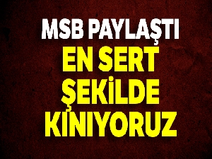 MSB: Bayrak bir milletin onurudur