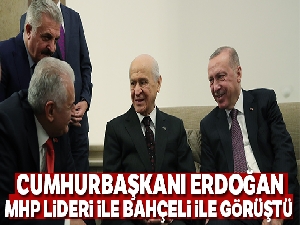 Cumhurbaşkanı Erdoğan, MHP lideri Bahçeli ile görüştü