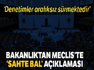 Tarım ve Orman Bakanlığından Meclis'te "sahte bal" açıklaması