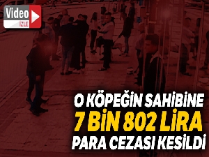 'O' köpeğin sahibine 7 bin 802 lira para cezası kesildi